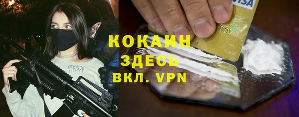 стаф Абинск