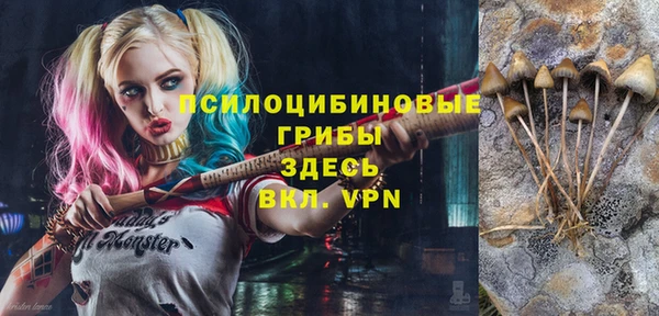 хмурый Алексеевка